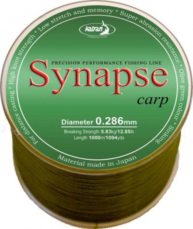 Synapse Carp